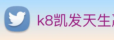 k8凯发天生赢家官网 Logo